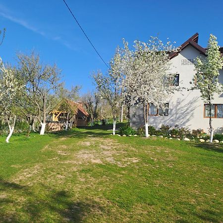 Casa Cristalul Muntilor Ξενοδοχείο Poiana Mărului Εξωτερικό φωτογραφία