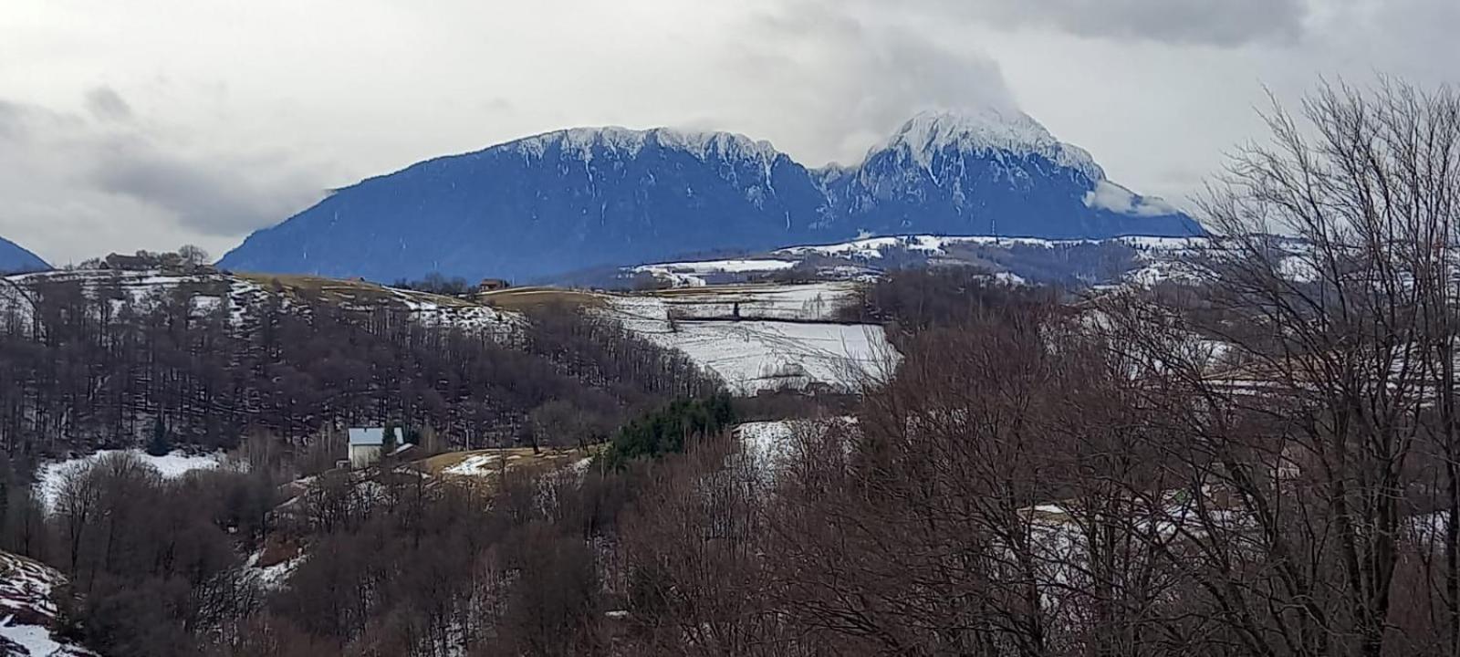 Casa Cristalul Muntilor Ξενοδοχείο Poiana Mărului Εξωτερικό φωτογραφία