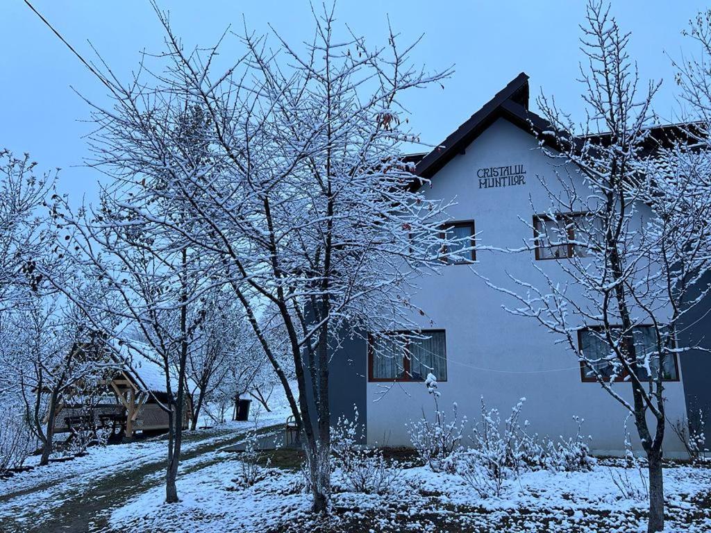 Casa Cristalul Muntilor Ξενοδοχείο Poiana Mărului Εξωτερικό φωτογραφία