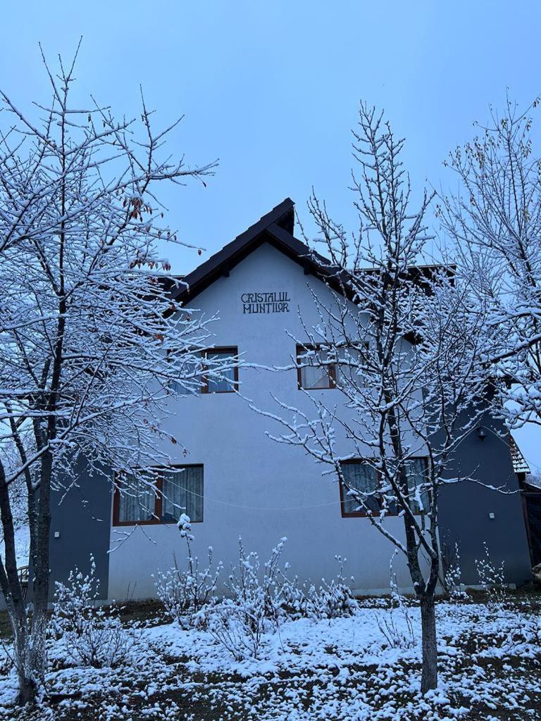 Casa Cristalul Muntilor Ξενοδοχείο Poiana Mărului Εξωτερικό φωτογραφία