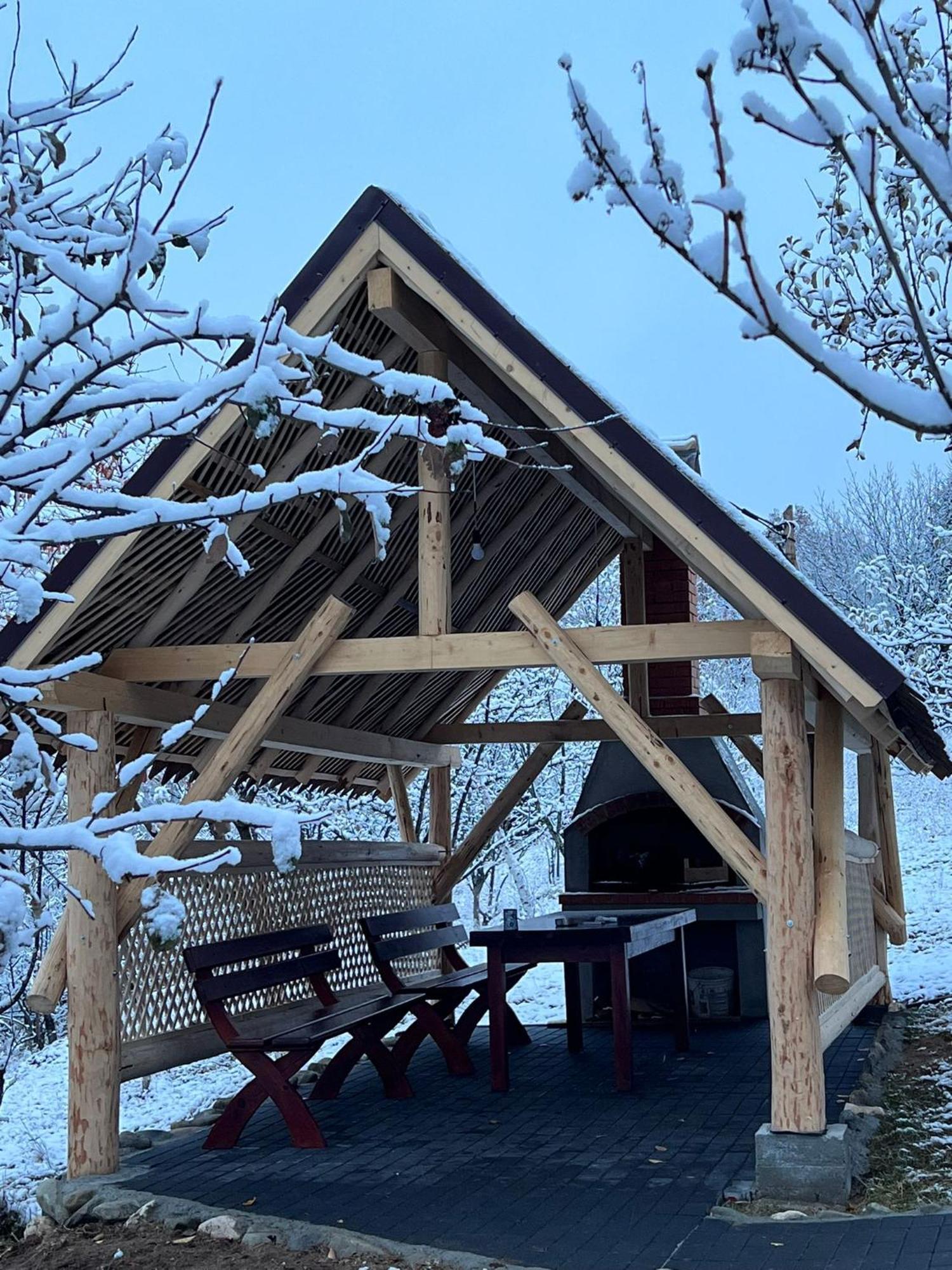 Casa Cristalul Muntilor Ξενοδοχείο Poiana Mărului Εξωτερικό φωτογραφία