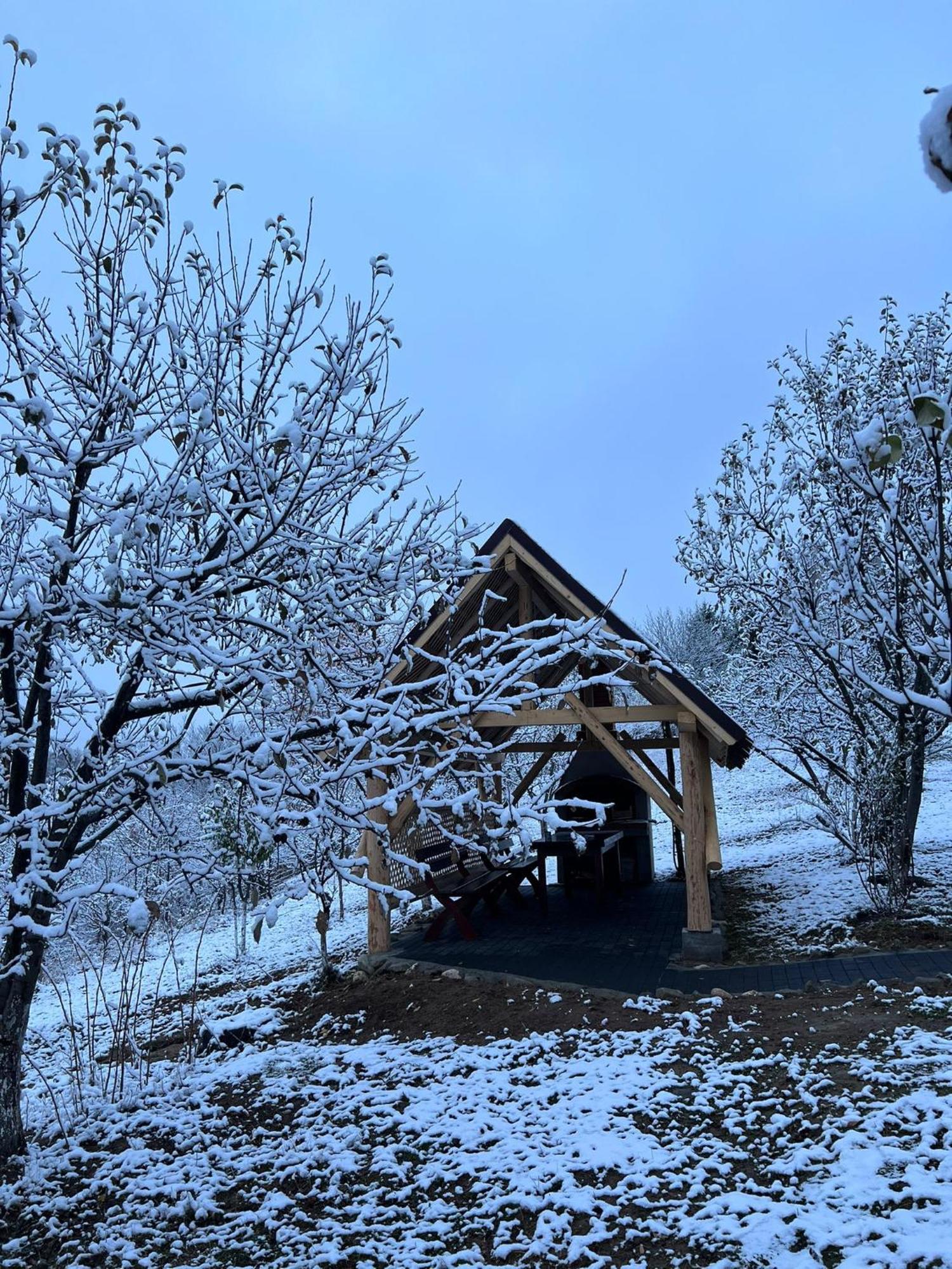 Casa Cristalul Muntilor Ξενοδοχείο Poiana Mărului Εξωτερικό φωτογραφία