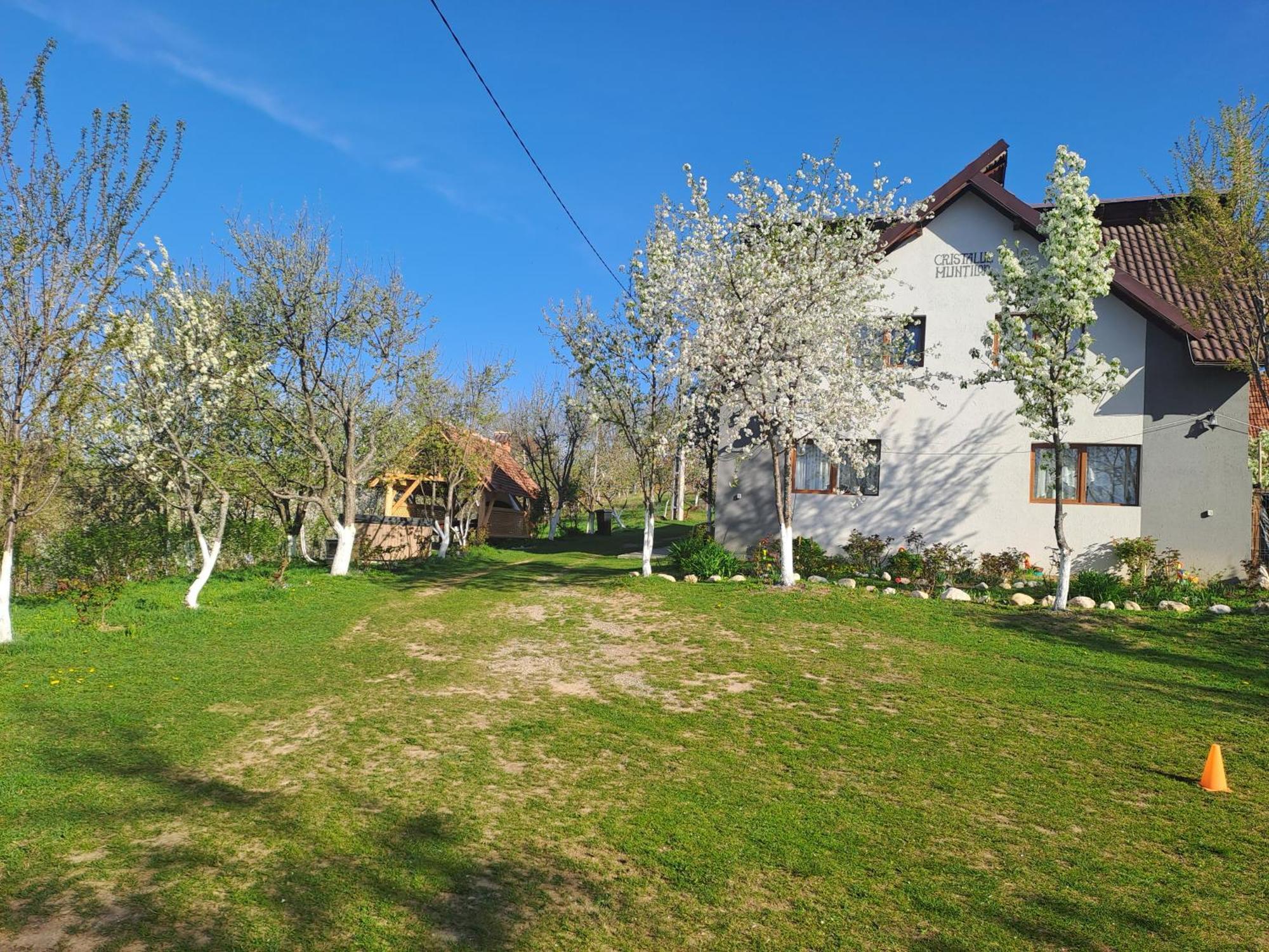 Casa Cristalul Muntilor Ξενοδοχείο Poiana Mărului Εξωτερικό φωτογραφία