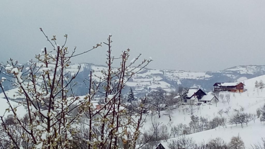 Casa Cristalul Muntilor Ξενοδοχείο Poiana Mărului Εξωτερικό φωτογραφία