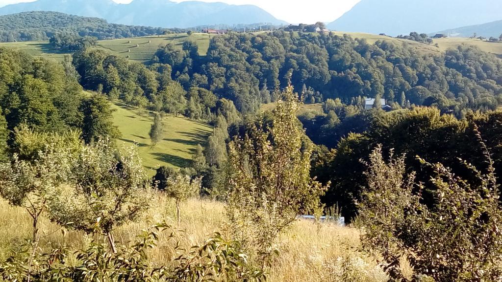 Casa Cristalul Muntilor Ξενοδοχείο Poiana Mărului Εξωτερικό φωτογραφία