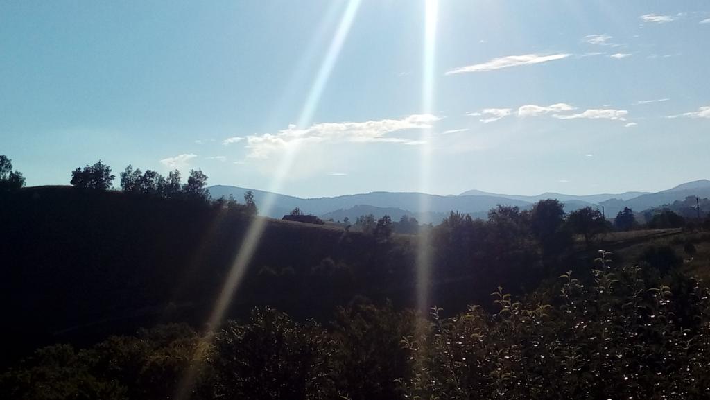 Casa Cristalul Muntilor Ξενοδοχείο Poiana Mărului Εξωτερικό φωτογραφία