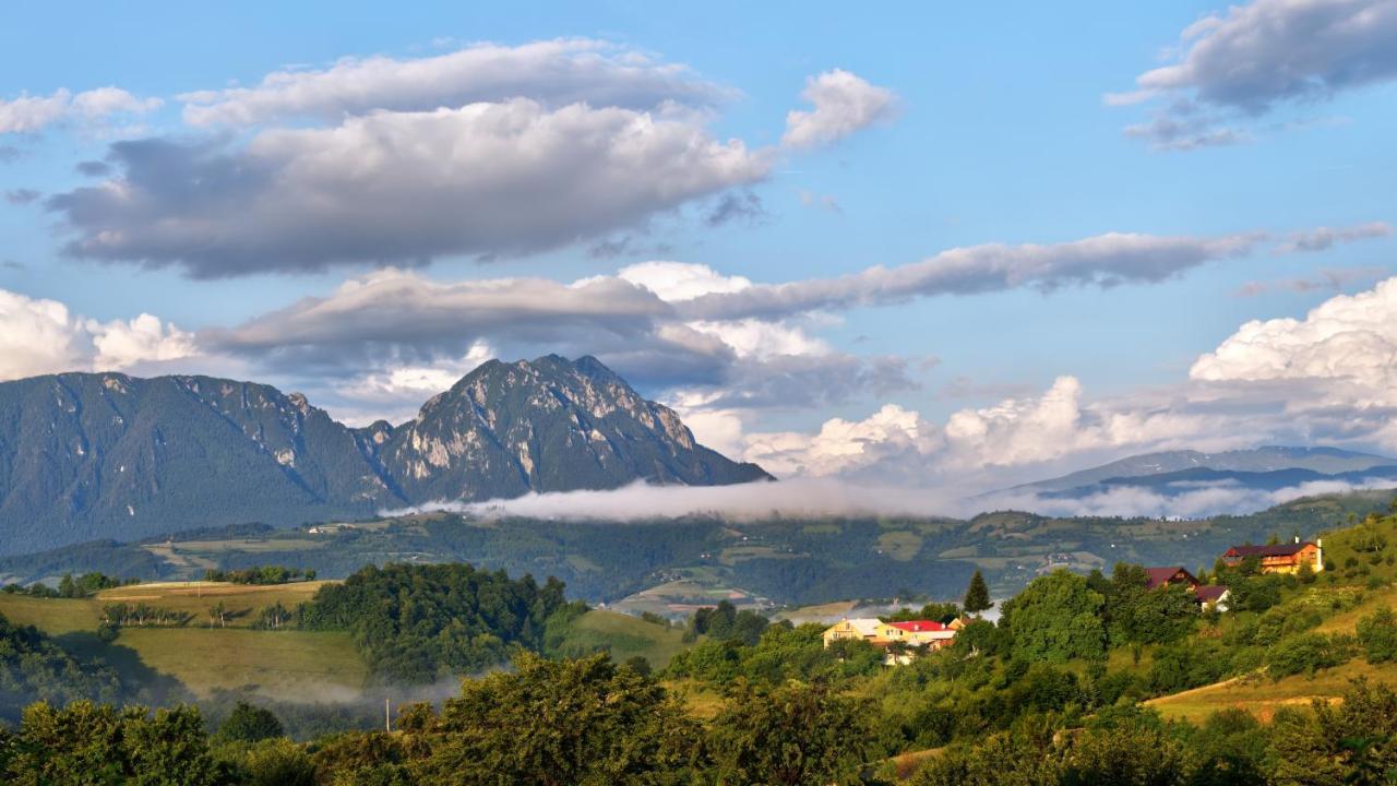 Casa Cristalul Muntilor Ξενοδοχείο Poiana Mărului Εξωτερικό φωτογραφία