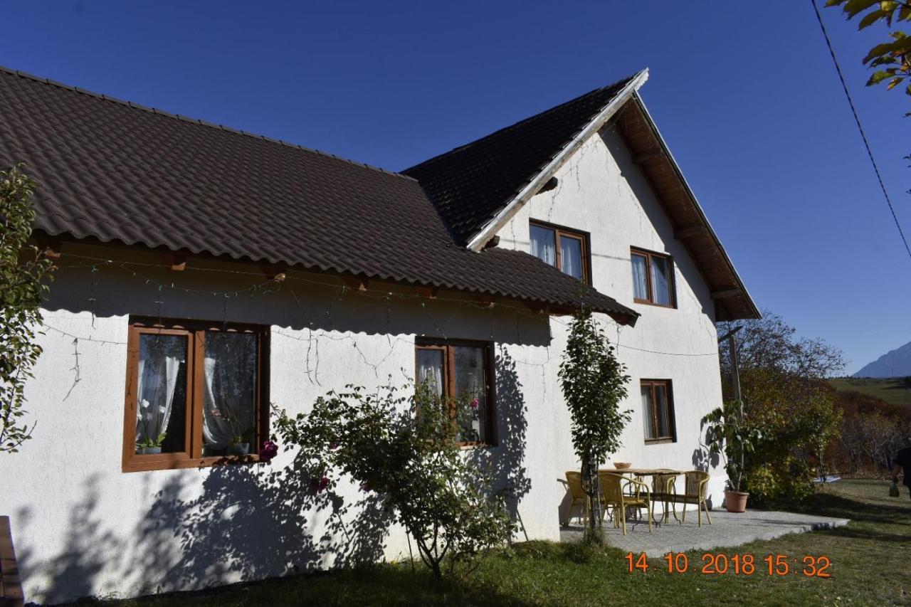 Casa Cristalul Muntilor Ξενοδοχείο Poiana Mărului Εξωτερικό φωτογραφία